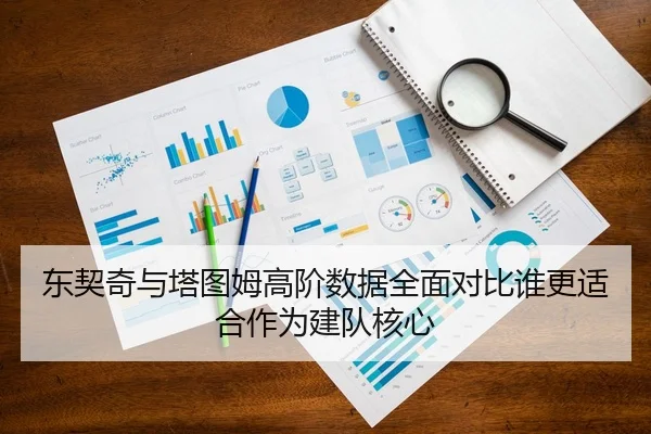 东契奇与塔图姆高阶数据全面对比谁更适合作为建队核心
